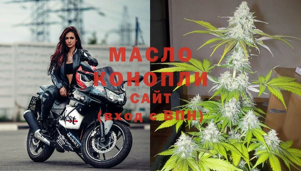 шишки Бородино